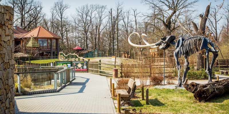Hluboká, 21.3.2020, koronavirus, zavřeno,  zoo, zvířata, zoologická zahrada hluboká, zoo ohrada, radmila čížková, ošetřovatel. V liduprázdné zoo v Hluboké nad Vltavou  se o zvířata ale tále musejí starat ošetřovatelé. Jako Radmila Čížkoá, která na snímcích krmí dravé ptáky. Foto: , MAFRA, Image: 508703402, License: Rights-managed, Restrictions: Image must be credited: 'Petr Lundák / MAFRA / Profimedia', Model Release: no, Credit line: Petr Lundák / MFDNES + LN / Profimedia