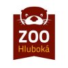 stažený soubor
